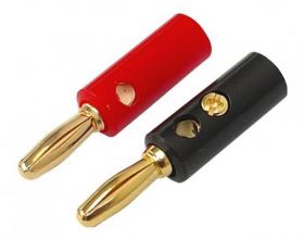 WTYK BANANOWY ZLOTY SKREC