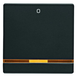 Klawisz mit pomarańczowyr Linse und Aufdruck cali0cali Berker Q.1/Q.3 antracyt aksamit 16246086