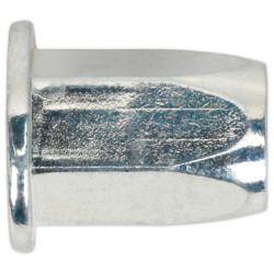 Sealey TIFHM6 Threaded Insert (Rivet Nut) M6 Full Hex Standard Flange Pack of 50