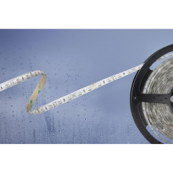 Barthelme 51540831 Basic LED Strip 24V 5m RGB Splash-Proof Flexible Strip