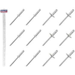 Sealey RVSET Clip Strip Deal - Aluminium Rivets