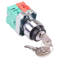 Techna PtecMetK2CRL 2 Position Metal Key Switch 10A 1NO-1NC