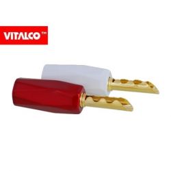 WTYK BANAN LAW56 VITALCO