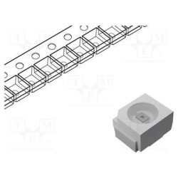 55IN-PI55QATPRPGPBP6