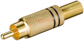 WTYK CHINCH ZŁOTY 2 PASKI CZERWONE