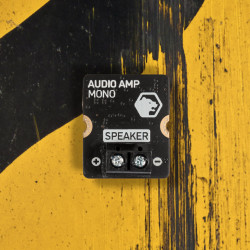 Audio Amp Module for Yukon (25W Mono Amp)