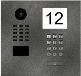 DoorBird D2101IKH Wideodomofon IP LAN Jednostka zewnętrzna stali szlachetnej, mika żelazna (satynowane)