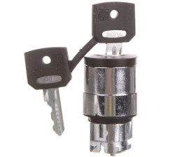 Główka przełącznika piórk., O 22, 2 poz., stabilny, Ronis 3131A ZB4BG220