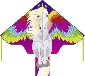 Latawiec jednolinkowy Ecoline 102151