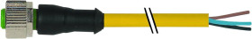 Murrelektronik 7000-12241-0350500 Złącze niekonfekcjonowane czujnika/aktuatora M12 x 1 złącze żeńskie proste 5.00 m Iloś