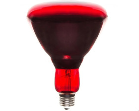 Promiennik podczerwieni E27 250W R123RB PRO-2109