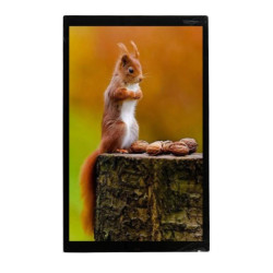 Wyświetlacz LCD TFT 7cal IPS TFT 1920 X 1200pikseli USB I/F Tak Midas