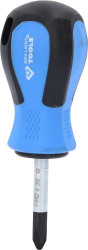 Wkrętak krzyżowy PH 2 Brilliant Tools BT031032 BT031032
