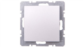 Berker/B.1/B.3/B.7 Glas Zaślepka Z Elementem Centralnym Aluminium 10091404