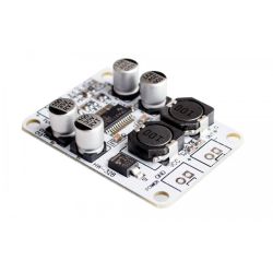 Wzmacniacz audio mono TPA3110 30W