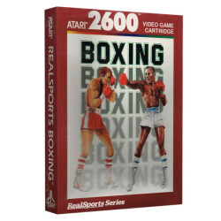 RealSports Boxing