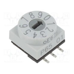 55P65SMT101H