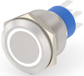 Vandal-proof pushbutton switch, 2 pole, silver, illuminated  (white), 5 A/250 VAC, mounting Ø 22.2 mm, IP67, 6-2213772-1