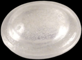 Enclosure feet, round, rubber, (H x Ø) 2 mm x 8 mm, black, for enclosure, 1421T6CL