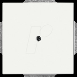 1742-884 Blindzentralscheibe mit Tragring