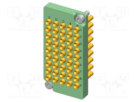 IGN-16900