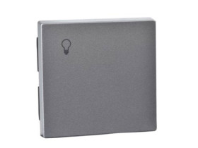 MERTEN Klawisz System M pojedynczy z oznaczeniem ''światło'' aluminiowy MTN439960 SCHNEIDER ELECTRIC