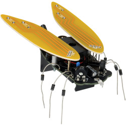 Whadda WSAK204 Electronic Cicada