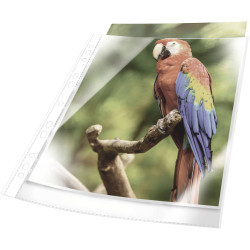 Durable 265502 Punched pocket A4 Polypropylene White 25 pcs