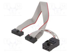 ATATMEL-ICE-CABLE