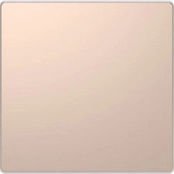 Merten Zaślepka D-Life szampan metalik MTN4075-6051