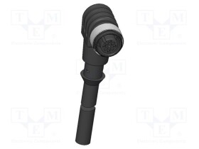 IGN-43637