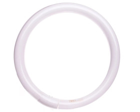 Świetlówka kołowa L 32 W/827 G10Q 4008321581129