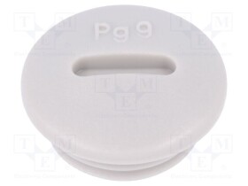LP-52024849