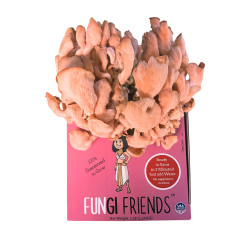 Cleopashrooma - Pink Oyster Mushroom Grow Kit - 5 LBS