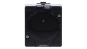 Senior Gniazdo Pojedyncze Z Uziemieniem 2P+Z (Klapka Dymna) Czarny 12Ghs-1D