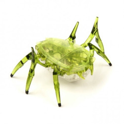 Hexbug Skarabeusz