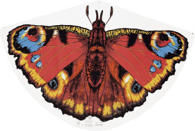 Latawiec jednolinkowy Günther Flugspiele 1103