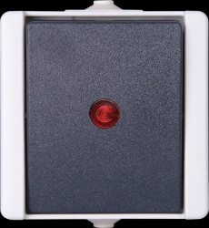 541656003 proAQA control switch, grey