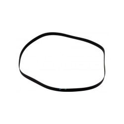 Pasek napędowy płaski 122x6x0,6mm (Koncert) / 282120