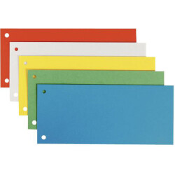 Leitz 16796099 Cardboard Divider Strips 240x105mm 5 Colors 25 pc(s)