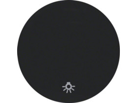 BERKER R.1/R.3 Klawisz nadrukiem symbol "światło" do wyłącznika klawiszowego pojedyncze czarny 16202035 HAGER