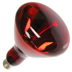 Żarówka E27 175W/230V czerwona promiennik podczerwieni/lampa grzewcza