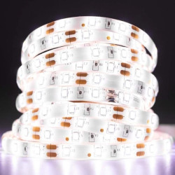 Taśma LED Pasek 12V 24W 300LED 2835 Neutralna IP65 8mm 5m