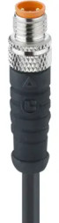 Sensor actuator cable, M8-cable plug, straight to open end, 3 pole, 5 m, PUR, black, 4 A, 0810 03 300 5M