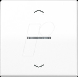 BTAS17101PWW Bluetooth pushbutton, single, alpine white, arrow symbols