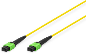 FO patch cable, MPO socket to MPO socket, 2 m, OS2, singlemode 9/125 µm, DK-2966-15