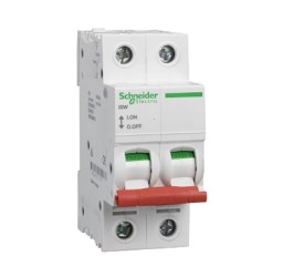 Rozłącznik z bezpiecznikami 2 125A W obudowie Schneider Electric