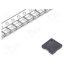 55LD-BZPN-PT86-0919