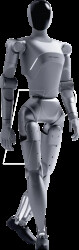 LimX Luna - Interactive Humanoid Robot