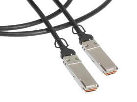 Kabel Ethernet długość 1.01m Z zakończeniem Molex